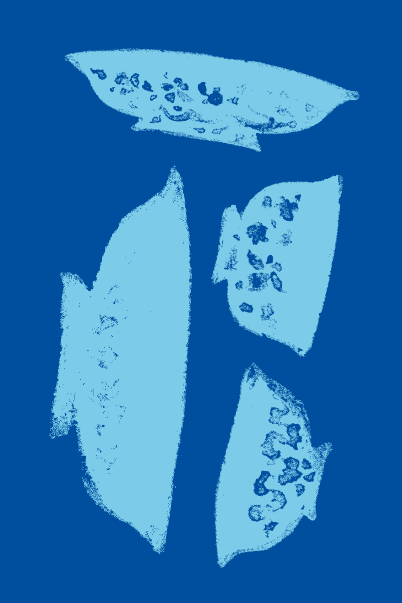 Artist image